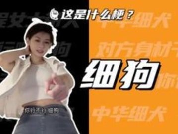 你行不行啊细狗是什么梗